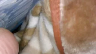 मुलैटो ओछ्यानमा मा अन्तरजातीय सेक्स लागि सुतिरहेको केटी जाग्यो
