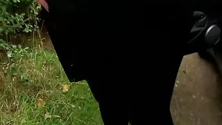 गडबड ल्याटिना फूहड़ पूल तालिका मा थकान सम्म