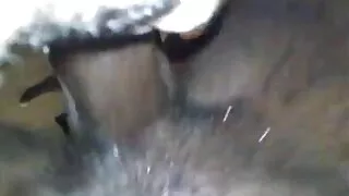 मानिस जिम मा एक भावुक खेलाडी छ