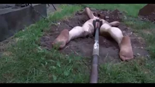 आमा भरी बेवकूफ छोरा र उनको बकवास गरे
